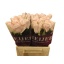 product/img.floraplaza.nl/RSWE4A-LIVE_fotos-0x82CE2B08AB2FE731C80D0012DC8DC9B19105690A.jpg