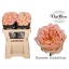 product/img.floraplaza.nl/RSWEC5-LIVE_fotos-0xBA84BEDB87504BAED89C7A1C3B1501A335F61015.jpg