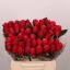 product/img.floraplaza.nl/RTAC4-LIVE_fotos-0xA4105494344F68A652004C587A30EE61E8354A82.jpg