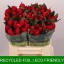 product/img.floraplaza.nl/RTAC4-LIVE_fotos-0xE72267D27C261E7676FC484616580922398CF726.jpg