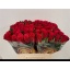 product/img.floraplaza.nl/RTAC4-LIVE_fotos-0xF68F0A7566EFF4920A8C40D615A676DFF20981D8.jpg