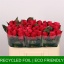 product/img.floraplaza.nl/RTAC5-LIVE_fotos-0xEFBF825116CBAF7374FFD4F23B43C4BF43D10AB0.jpg