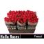 product/img.floraplaza.nl/RTAC6-LIVE_fotos-0x2C190CA21644C20731702B65DCCC11FF070A23EE.jpg