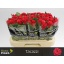 product/img.floraplaza.nl/RTAC6-LIVE_fotos-0x9E146332FA8589A576DE78D6B093D5EDDA378D47.jpg