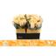 product/img.floraplaza.nl/RTAL4-LIVE_fotos-0xF7655D5F30DBB70B6F2C07A08E7A82BC89EAD982.jpg