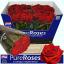 product/img.floraplaza.nl/RTES6-LIVE_fotos-0xF4123E4ED05E1B5AFD14693CD2A032FBDC41526F.jpg