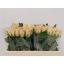 product/img.floraplaza.nl/RTOP5-LIVE_fotos-0xFA017B4BCD333F5A74446A33B69FE77DB7A421D6.jpg