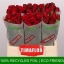 product/img.floraplaza.nl/RUPP4-LIVE_fotos-0x20C922D6A0D23DD6240A7897F4749861377624CD.jpg