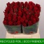 product/img.floraplaza.nl/RUPP4-LIVE_fotos-0xFFE6AB4116EAB25E73D1F09E477670BC464B9AC6.jpg