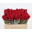 product/img.floraplaza.nl/RUPP5-LIVE_fotos-0xE29097B3F76F5FF46148F26FDF967AE04CEDCC30.jpg