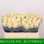 product/img.floraplaza.nl/RWED5-LIVE_fotos-0x58A6E723482F2731C5D580A0EDCA413B2EBBDA7C.jpg