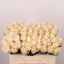 product/img.floraplaza.nl/RWED5-LIVE_fotos-0xD3E7FF15AF383794F1E7F1834E13F3109BD1EEA0.jpg