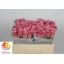 product/img.floraplaza.nl/RWHA5-LIVE_fotos-0xB02DD739DD17D6B5E0E2391CED96BB13C6246911.jpg
