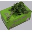 product/img.floraplaza.nl/SALALTIPSPACIFIC-40-ASSORTI_fotos-GCON-GCON Blad salal mini tips Corona.jpg