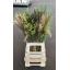 product/img.floraplaza.nl/SIE7MIX-ASSORTI_fotos-MVA-Siergras mix.jpg