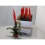 product/img.floraplaza.nl/VRI9ERA-LIVE_fotos-0x530CF33F5EFE1DC78EE0004F9AEA2A9B72E4AABE.jpg