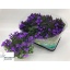 product/img.ozexport.nl/104346-510-LIVE_fotos-0xC88704BB007AC51012A03657B2EEBDC6C6A44B52.jpg