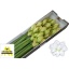 product/img.ozexport.nl/106263-70-LIVE_fotos-0x8DBAB6FD8553FF091A7D0716F5EBCDE83324E221.jpg