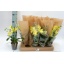 product/img.ozexport.nl/112893-9-LIVE_fotos-0x8BAEE6F2B88D13BFE20C7974473B54DA37EA2100.jpg
