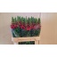 product/img.ozexport.nl/113941-80-LIVE_fotos-0xCE588839811FC09FC91571D7339BA666AFBA209C.jpg