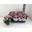 product/img.ozexport.nl/114318-9-LIVE_fotos-0xC1D767C8C95A45D81DF7F8A53B7E2FE497486E48.jpg