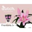 product/img.ozexport.nl/114586-90-LIVE_fotos-0xF14DD4DD98FC8069012EB3908E1409E32A4A4E16.jpg
