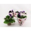 product/img.ozexport.nl/116789-12-LIVE_fotos-0xC22E877B0F8C07F3172BD076AA72989A74704D7E.jpg