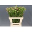 product/img.ozexport.nl/118306-60-LIVE_fotos-0x6D1E211D64D6A5A4618C5614485E6FDCEC1160BA.jpg