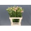 product/img.ozexport.nl/118306-60-LIVE_fotos-0xCADADC0F21C0911268CCC3729DD360C51DFEACA3.jpg