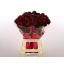 product/img.ozexport.nl/119725-70-LIVE_fotos-0x02E3B590465581F9BA726A241C006232FD02C9D6.jpg