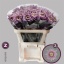 product/img.ozexport.nl/120478-70-LIVE_fotos-0x21CD82D9F61F553A78C6121A0AB0EAE9982B14DF.jpg