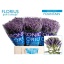 product/img.ozexport.nl/121386-60-LIVE_fotos-0xF89ED77165F84D2AD69C408700C374FE75C8FC60.jpg