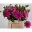 product/img.ozexport.nl/121934-45-LIVE_fotos-0x9B994EA77A4E36E2B423B976BD203BCF103746F4.jpg