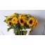 product/img.ozexport.nl/122283-80-LIVE_fotos-0xF9AD3A270E82108C91FB2C7A92B6675BD1EE096B.jpg