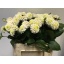 product/img.ozexport.nl/122470-60-LIVE_fotos-0xE7FD5D04CF23F5F12E8682371204D4F9CE5830D9.jpg