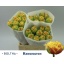 product/img.ozexport.nl/123254-46-LIVE_fotos-0xD125E6BBAB452F54DC43AEF892452C75A77D6AC1.jpg