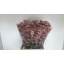 product/img.ozexport.nl/123835-70-LIVE_fotos-0x0D6D69008AEF12C30A251978145BFD8FF0053529.jpg