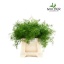 product/img.ozexport.nl/1283-40-LIVE_fotos-0x824496FA501A73655DAB5906E676D4591C2A4C88.jpg