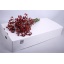 product/img.ozexport.nl/14508-80-LIVE_fotos-0x6C0A1FAE74EDFF51C38BB219C5F1C443F7479742.jpg