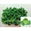 product/img.ozexport.nl/15155-55-LIVE_fotos-0xE06C8F5F49C97A7561A08EC3854D59AC6CA9DD3C.jpg