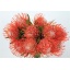 product/img.ozexport.nl/15439-35-LIVE_fotos-0x44BB57A3CFB7A23E5F5765DA03A963A635931DD0.jpg