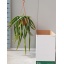 product/img.ozexport.nl/16323-20-LIVE_fotos-0x92C814363B5FA6BDBF878C20BEBA8E3266D9A1E7.jpg