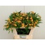 product/img.ozexport.nl/17387-70-LIVE_fotos-0xF6DF967D5B8829A7391F577405B5F9AD052DFB84.jpg