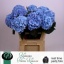 product/img.ozexport.nl/19427-80-LIVE_fotos-0x4964CFF231202487AFC51FE3A66F78A7E6243B7E.jpg