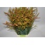 product/img.ozexport.nl/2339-80-LIVE_fotos-0x558D0D626973D15DCA76BD9095AF4F4D81E4F6F3.jpg