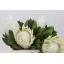 product/img.ozexport.nl/24949-40-LIVE_fotos-0x1F4EF0BC6BEB73B62A5C0381E0DCEBE45B5DA63A.jpg