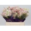 product/img.ozexport.nl/25650-40-LIVE_fotos-0x1C25F79DFF742EF02B59A0D6507CBB66B56A5D6F.jpg