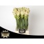 product/img.ozexport.nl/28746-50-LIVE_fotos-0xB307BE26CACE60438A9B927FD7377C44E4A3AE6F.jpg
