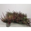 product/img.ozexport.nl/28999-13-LIVE_fotos-0xF124E8E152807ABC85624622F46D7159C9A826AA.jpg