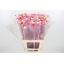 product/img.ozexport.nl/6268-70-LIVE_fotos-0xC230AB0E20218103B352D48098D9CFE8E267C059.jpg